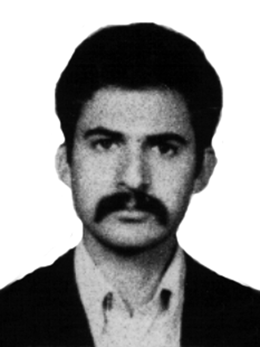 Pourabbasian_Hamid.jpg